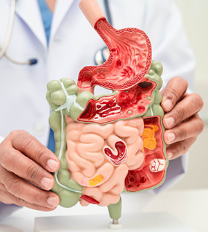 Gastro Surgery Backbone medicity